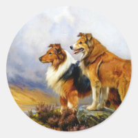 Dois Cães Collie acima de um lago