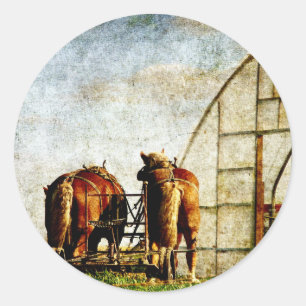 Adesivo Dois cavalos prontos para o trabalho