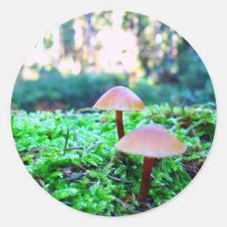Adesivo dois cogumelos