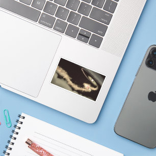 Adesivo Dois Exoplanetas Gás Orbitando Uma Jovem Estrela