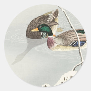 Adesivo Dois patos-reais, colheita