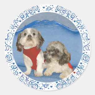 Adesivo Dois Pequenos Cachorros Resgatados Shih Tzu