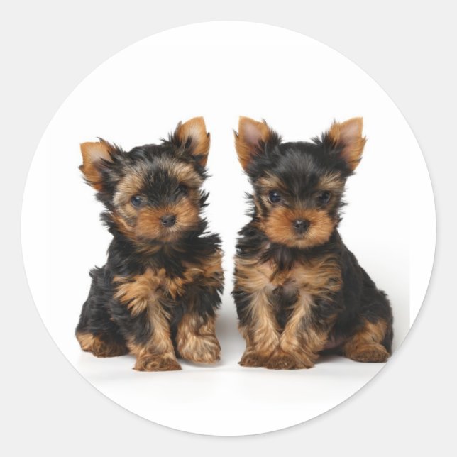 Adesivo Dois pequenos super (Frente)