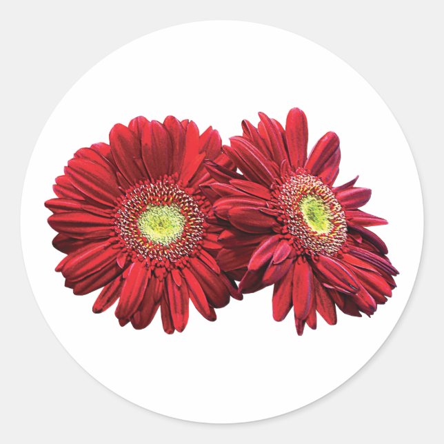 Adesivo Dois Red Daisies (Frente)