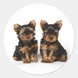 Adesivo Dois supers pequenos