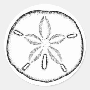 Adesivo dólar de areia