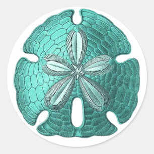 Adesivo Dólar de areia do Aqua