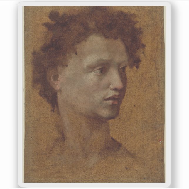 Adesivo Domenico Beccafumi - Chefe de Juventude (Frente)