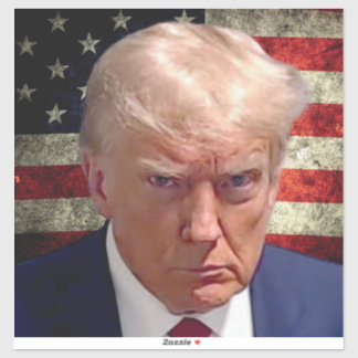 Adesivo Donald Trump Mug Shot Sticker com bandeira america