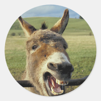 Adesivo Donkey