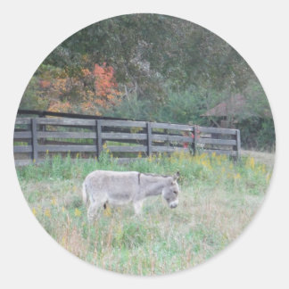 Adesivo Donkey em um Campo de outono.