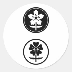 Adesivo dos