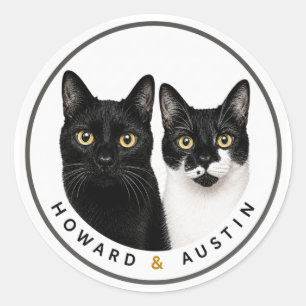 Adesivo dos Irmãos Gatos Resgatados Unidos Howard