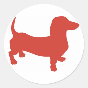 Adesivo Doxie - Dacshund