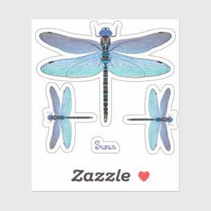 Adesivo Dragonfly Contour Vinyl Sticker Labels