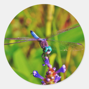 Adesivo Dragonfly e flor