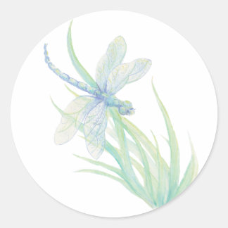 Adesivo Dragonfly Original em Azul e Verde