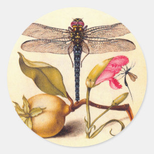 Adesivo Dragonfly, Pear, Cravo e Insetos