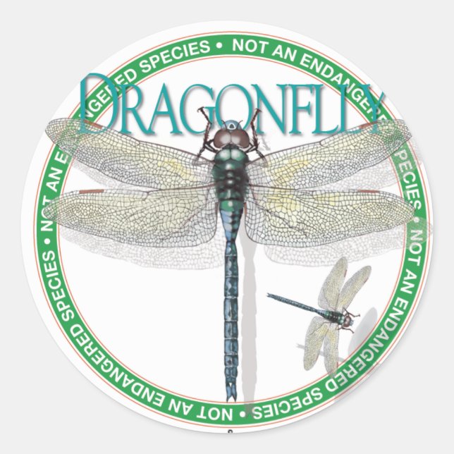 Adesivo Dragonfly Sticker (Frente)
