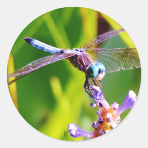 Adesivo Dragonfly Teal & Purple