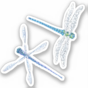 Adesivo Dragonfly Vinyl Stickers