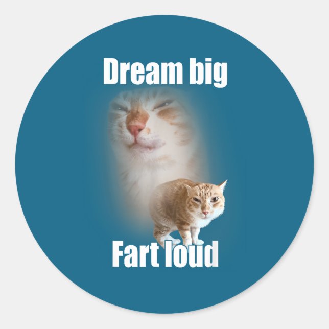 Adesivo Dream Big Fart Loud Cat Meme Funny Saying  (Frente)