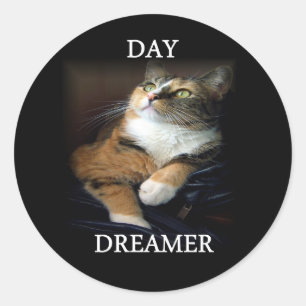 Adesivo Dreamer Sticker