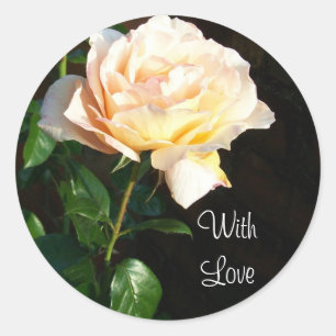 Adesivo "Dreaming Spires" Rosa