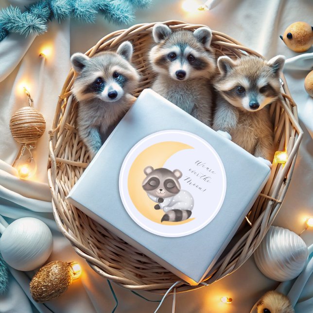 Adesivo Dreamy sobre a Chá de fraldas da Moon Raccoon (Dreamy Over the Moon Raccoon Boy Baby Shower Squar Classic Round Sticker)
