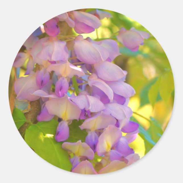 Adesivo Dreamy Wisteria Flower (Frente)