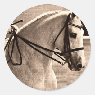 Adesivo Dressage Grunge