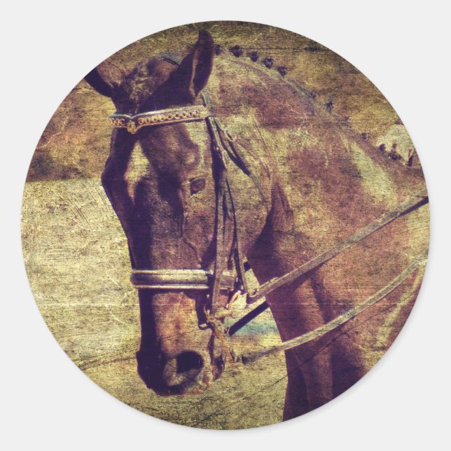 Adesivo Dressagem (Frente)