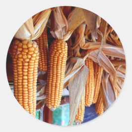 Adesivo Dry Whole Ear Corn with Husks