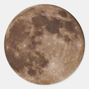 ADESIVO DSC02662.JPG