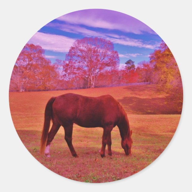 ADESIVO DSCF0536.JPG (Frente)