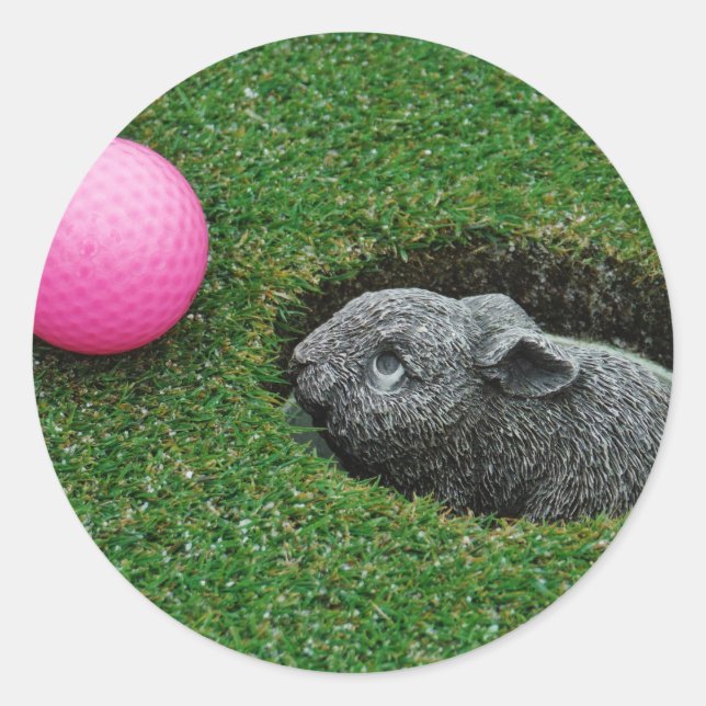 ADESIVO DSCF0652.JPG (Frente)