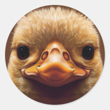 Duck Life Like Portraje Beak com Penas Amarelas