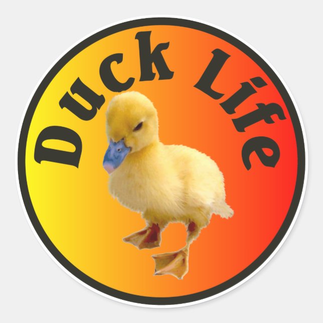 Adesivo Duck Life Sticker (Frente)