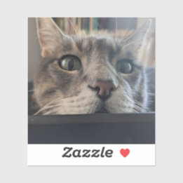 Adesivo E aí, Cat? vinil Sticker 3"