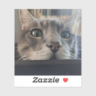 Adesivo E aí, Cat? vinil Sticker 3"