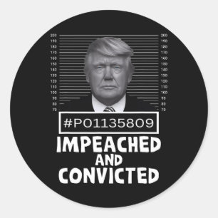 Adesivo E Condenado Felon 45 Engraçado Anti Trump Mugshot