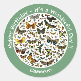 Adesivo É um Aniversário da Borboleta, Collage Items for P