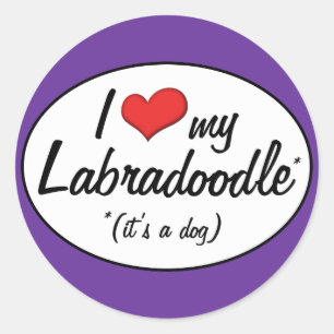Adesivo É um cão! Eu amo meu Labradoodle