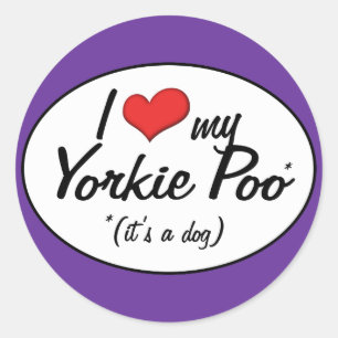 Adesivo É um cão! Eu amo meu Yorkie Poo