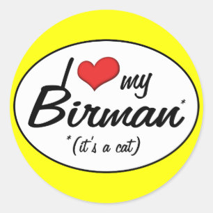 Adesivo É um gato! Eu amo meu Birman