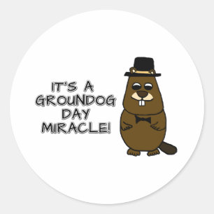 Adesivo É um milagre do Dia da Marmota