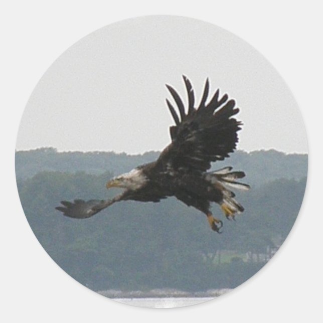 Adesivo Eagle Flight Sticker (Frente)