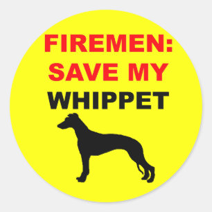 Adesivo Economias do costume meu Whippet