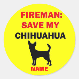 Adesivo Economias do costume minha chihuahua