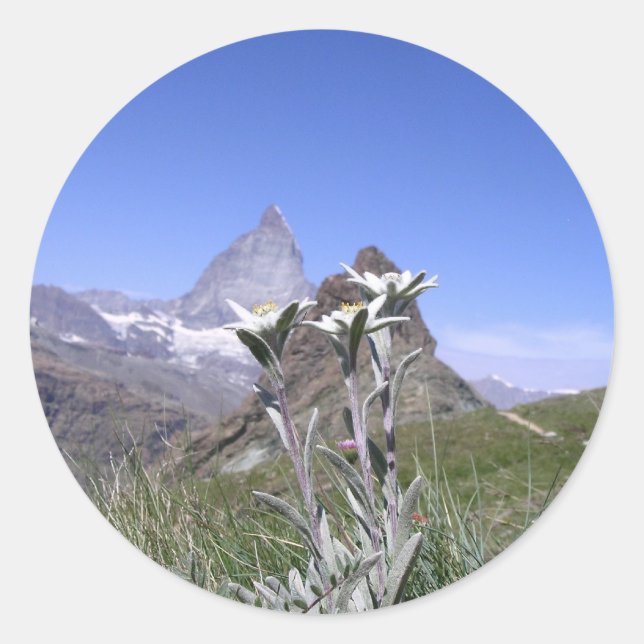 Adesivo Edelweiss e Matterhorn (Frente)